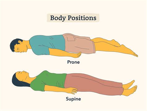 prone bone stellung|Prone bone is the trending sex position you need to try